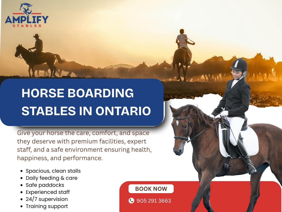 Amplify Stables