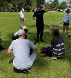 Agile Dogs