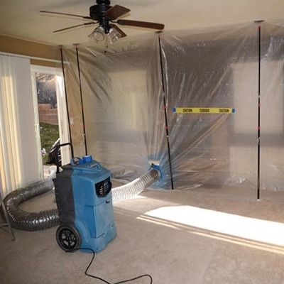 Wesley Chapel Mold Remediation Experts