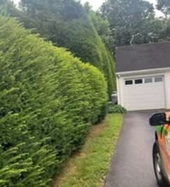 Spicer's Lawn Care & Landscape Design