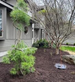 Spicer's Lawn Care & Landscape Design