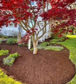 Spicer's Lawn Care & Landscape Design