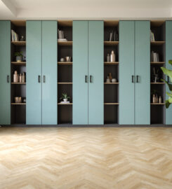 Haus Coast Ltd