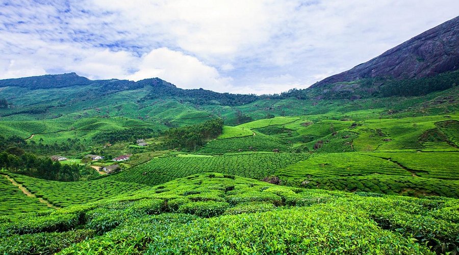 Quick Kerala Holidays – Kerala Nature Tourism & Backwater E &hellip;