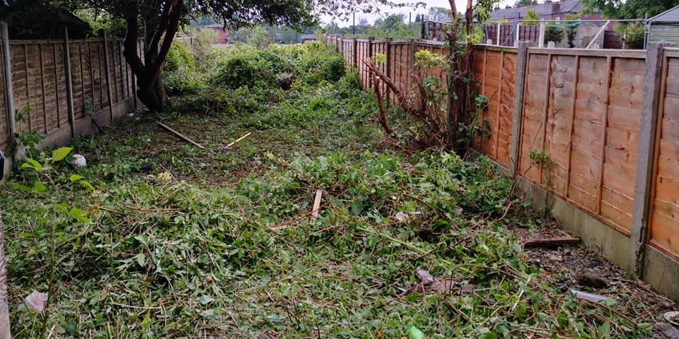 Stepaside Landscaping & Gardening
