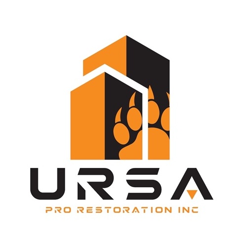 Ursa pro restoration