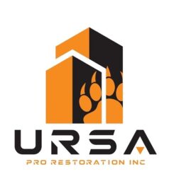 Ursa pro restoration