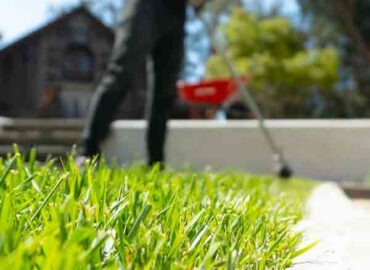 James Watts Tree And Garden Services