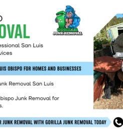 Gorilla Junk Removal