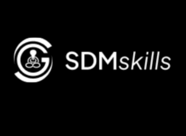 SDMskills digital marketing institute in Hisar