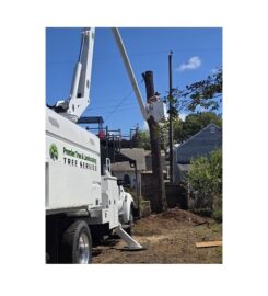 Premier Tree & Landscaping