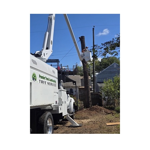 Premier Tree & Landscaping