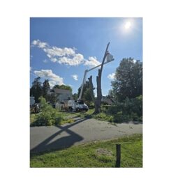 Premier Tree & Landscaping