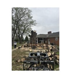 Premier Tree & Landscaping