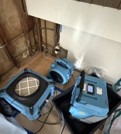 Ursa pro restoration