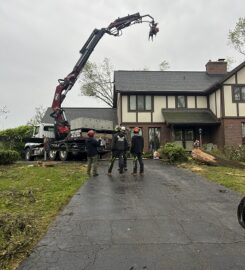 Holtslander And Sons Tree Service