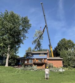 Holtslander And Sons Tree Service
