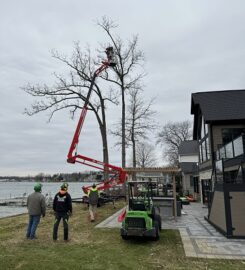 Holtslander And Sons Tree Service