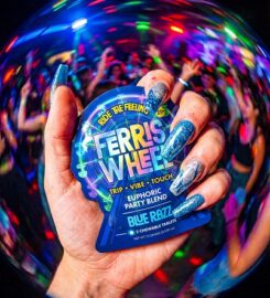Ferris Wheel