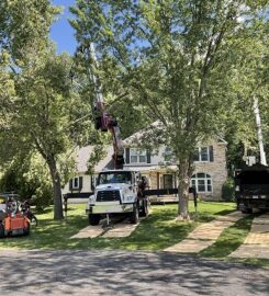 Holtslander And Sons Tree Service