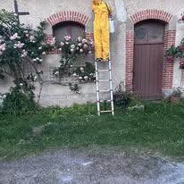 Urgence Frelons Allier