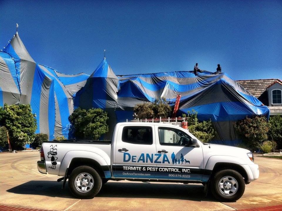 DeAnza Termite & Pest Control