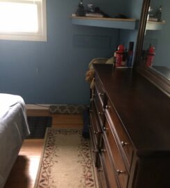 Lustra Cleaning Services