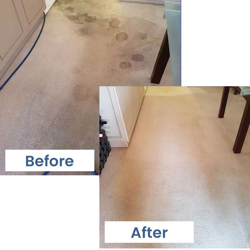 Greeny's Steam Clean