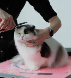 The Pet Parlor Buffalo LLC