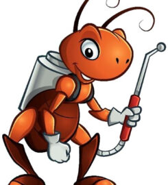 Elite Inspections & Pest Solutions