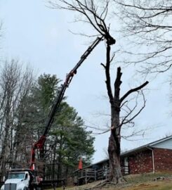 GE Tree Service