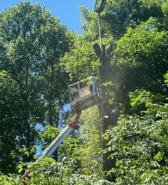 GE Tree Service