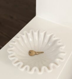 Serene Maison Organizing