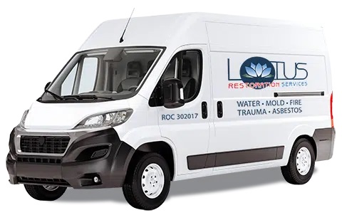 Lotus Restoration Services