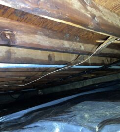 Healthy Interior Solutions- Mold, Radon and Restoration
