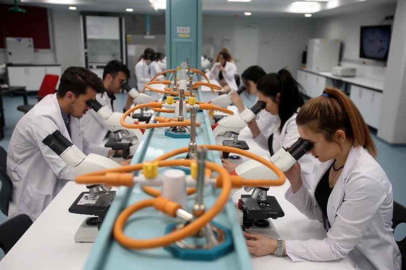 Aureus University