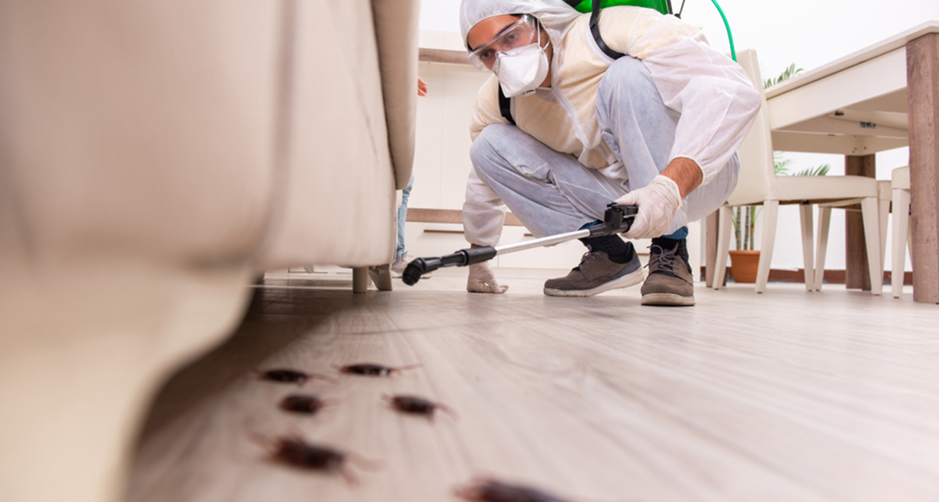 Quality Pest Control GTA Etobicoke