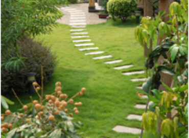 Affordable Landscape & Maintenance