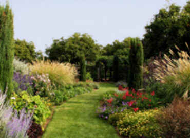 Affordable Landscape & Maintenance