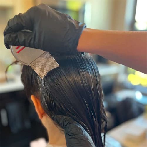 Lice Free Noggins Lice Treatment & Nit Removal – New Je &hellip;