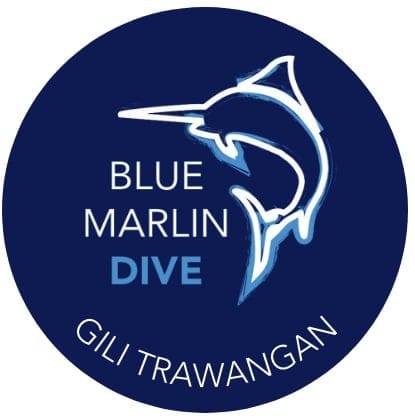 The PADI IDC Gili Trawangan – Gili Islands – Indonesia