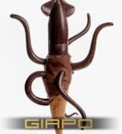 Giapo