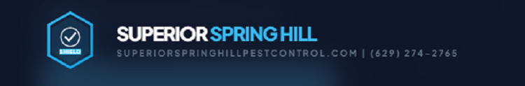 Superior Spring Hill Pest Control