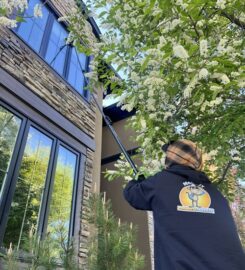 Monkey Property Services