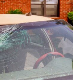 See N Clear Auto Glass Surprise