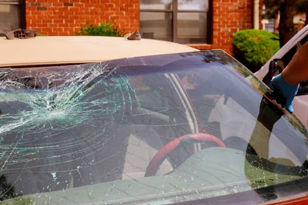 See N Clear Auto Glass Surprise