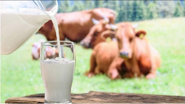 Raw Milk Dubai