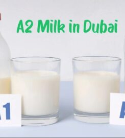 Raw Milk Dubai