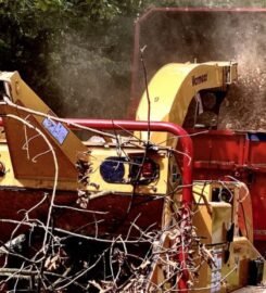 Grant Brothers Tree Service