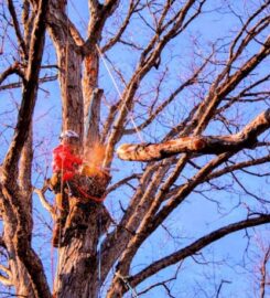 Grant Brothers Tree Service